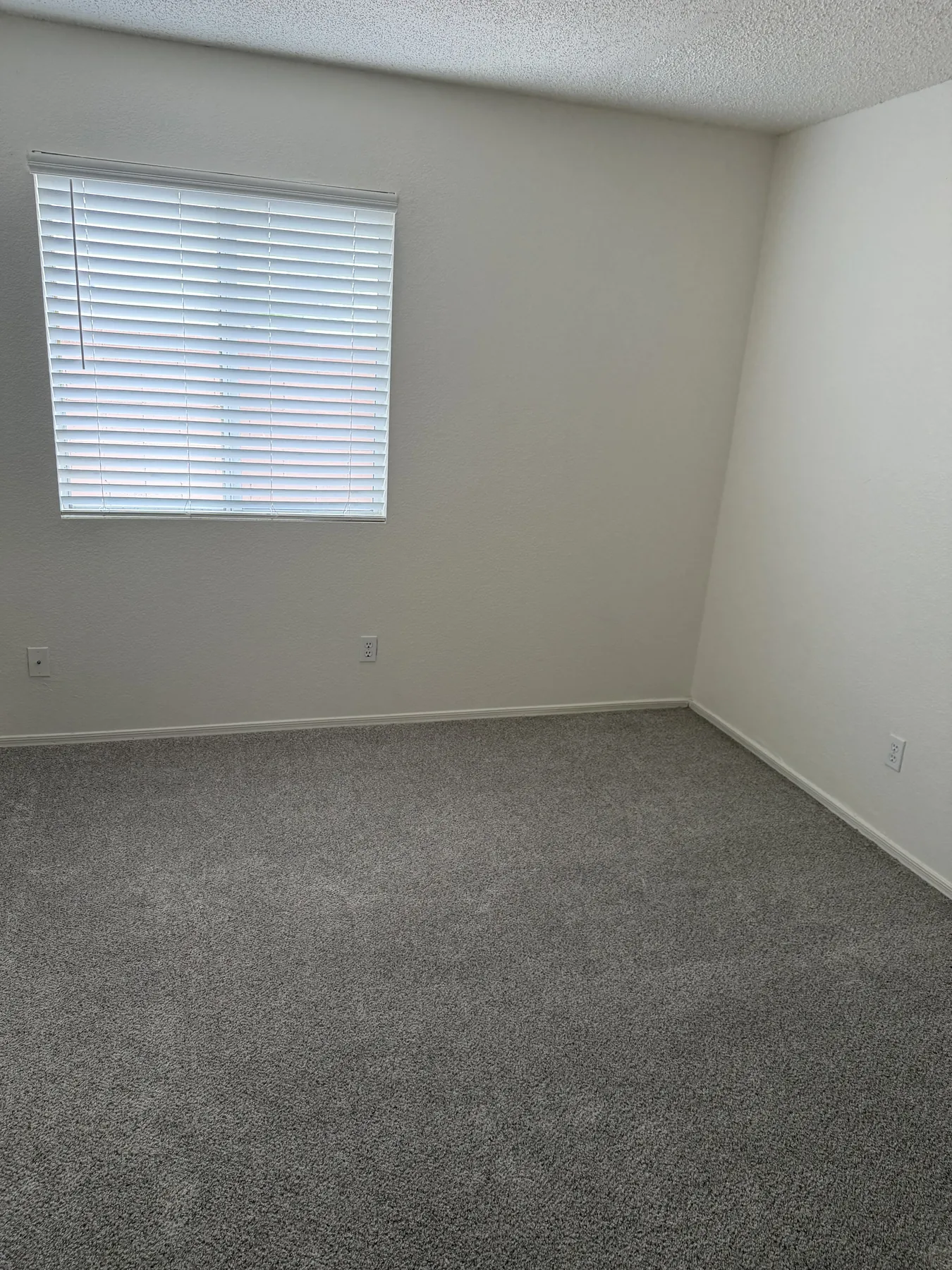 Freshly painted interior room