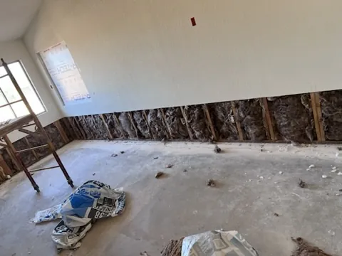 Lower wall materials removed around a room perimeter to access affected cavities